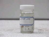藏品(長棘海馬)的圖片